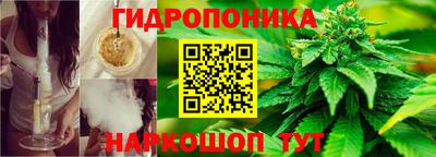 ешки Бийск