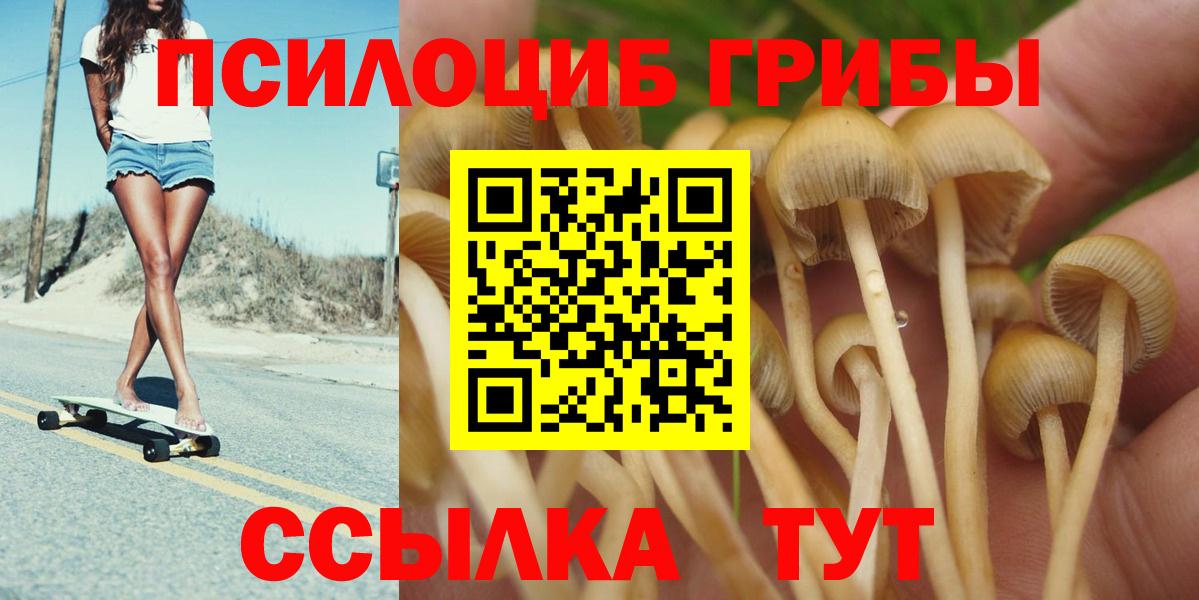 Ковров  Псилоцибиновые грибы мицелий  Галлюциногенные грибы прущие грибы  Вход с VPN 