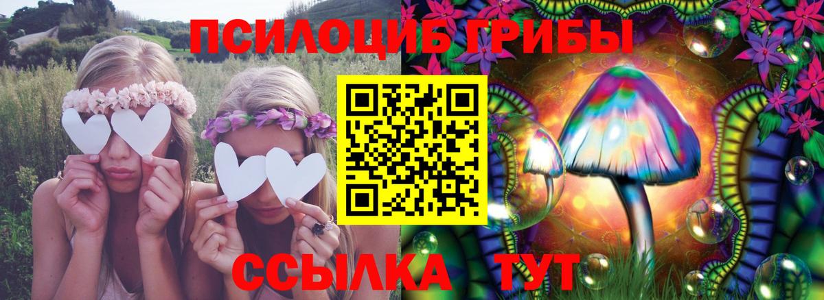 Галлюциногенные грибы MAGIC MUSHROOMS Ковров
