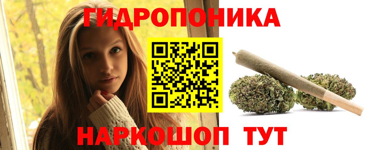 Конопля White Widow Ковров